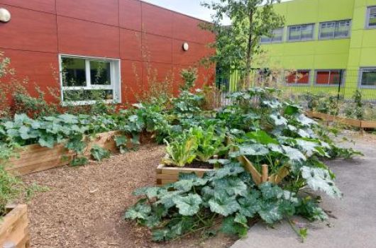 Cours de l'école Langevin