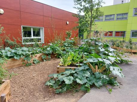 Cours de l'école Langevin